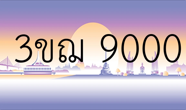 3ขฌ 9000